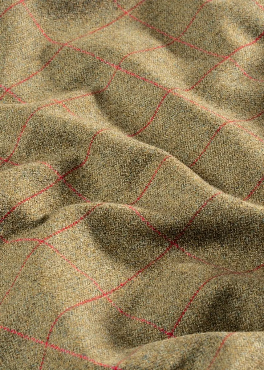 50% OFF - ALAN PAINE Combrook Mens Tweed Shooting Breeks - Sage - Size: 30", 32", 40" & 46"Waist