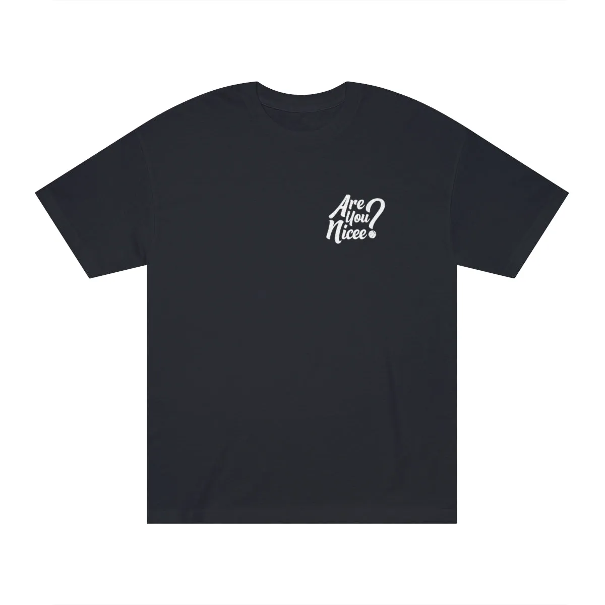 Are You Nicee? Small Logo Tee