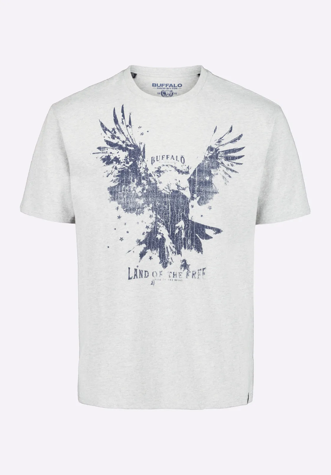 Teagle Men's Graphic T-Shirt with Eagle Print, Heather Grey - BM24647