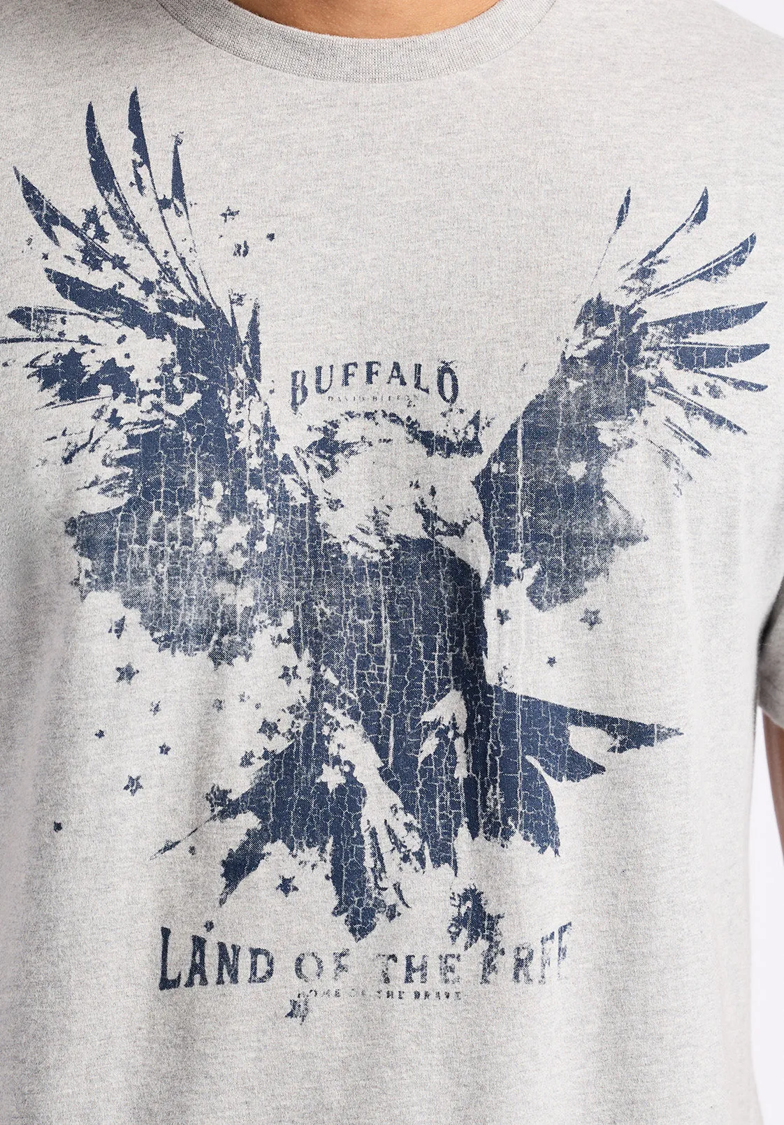 Teagle Men's Graphic T-Shirt with Eagle Print, Heather Grey - BM24647